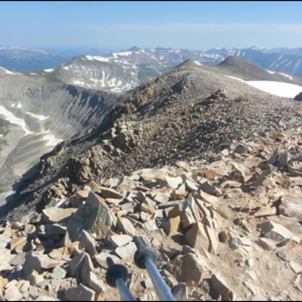 Meet your Posher, Montana